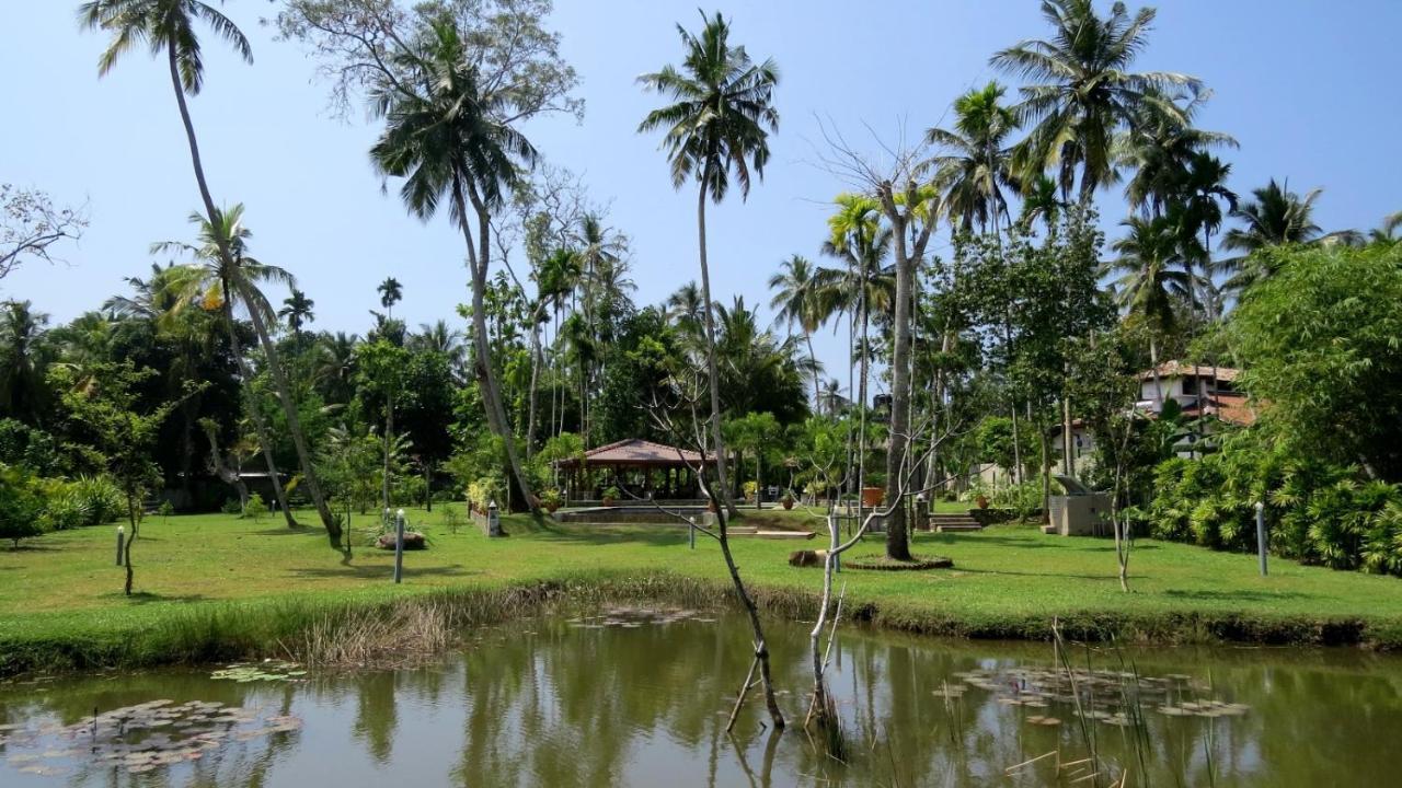 אינדורואה Avalon Village Resort מראה חיצוני תמונה