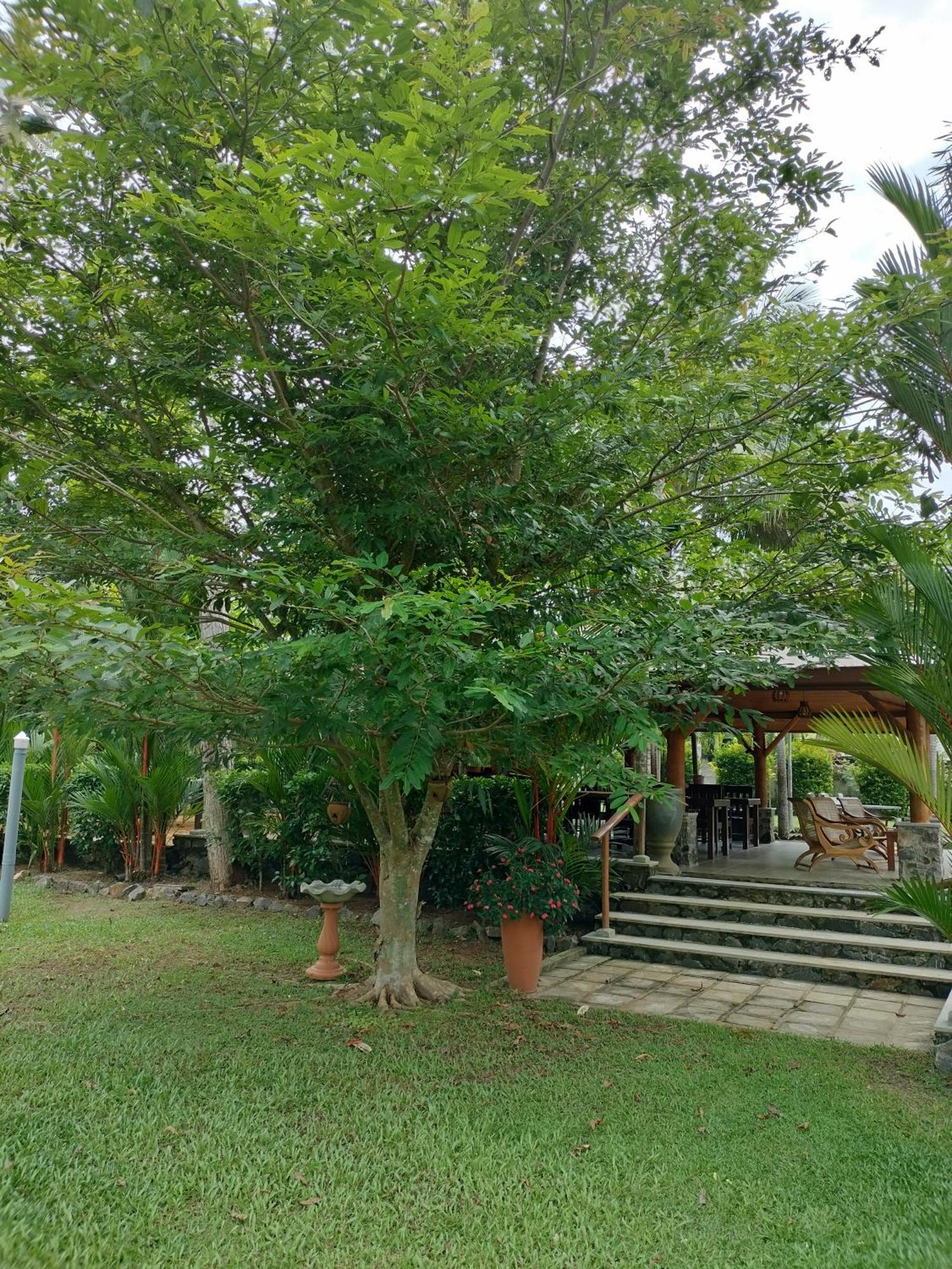 אינדורואה Avalon Village Resort מראה חיצוני תמונה