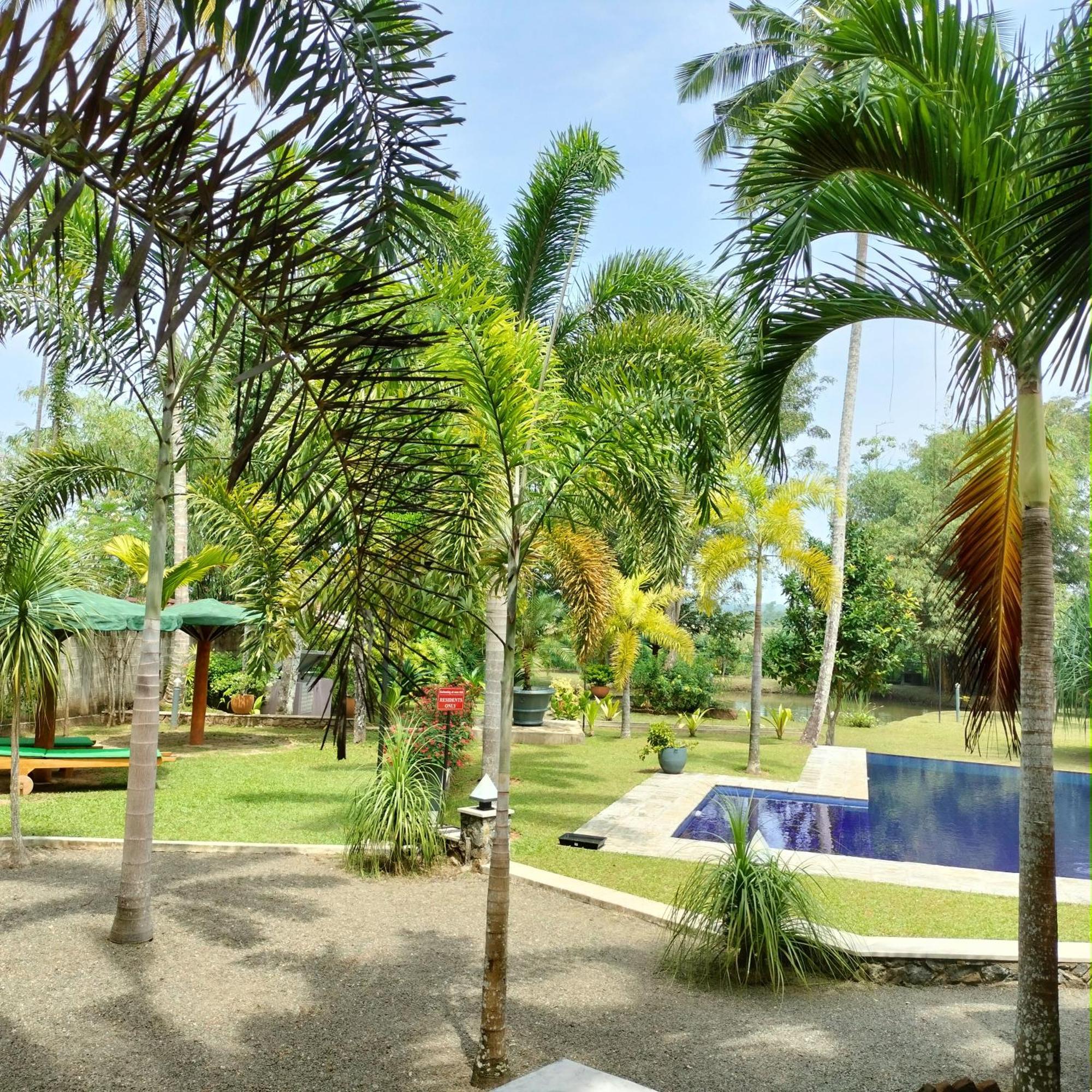 אינדורואה Avalon Village Resort מראה חיצוני תמונה