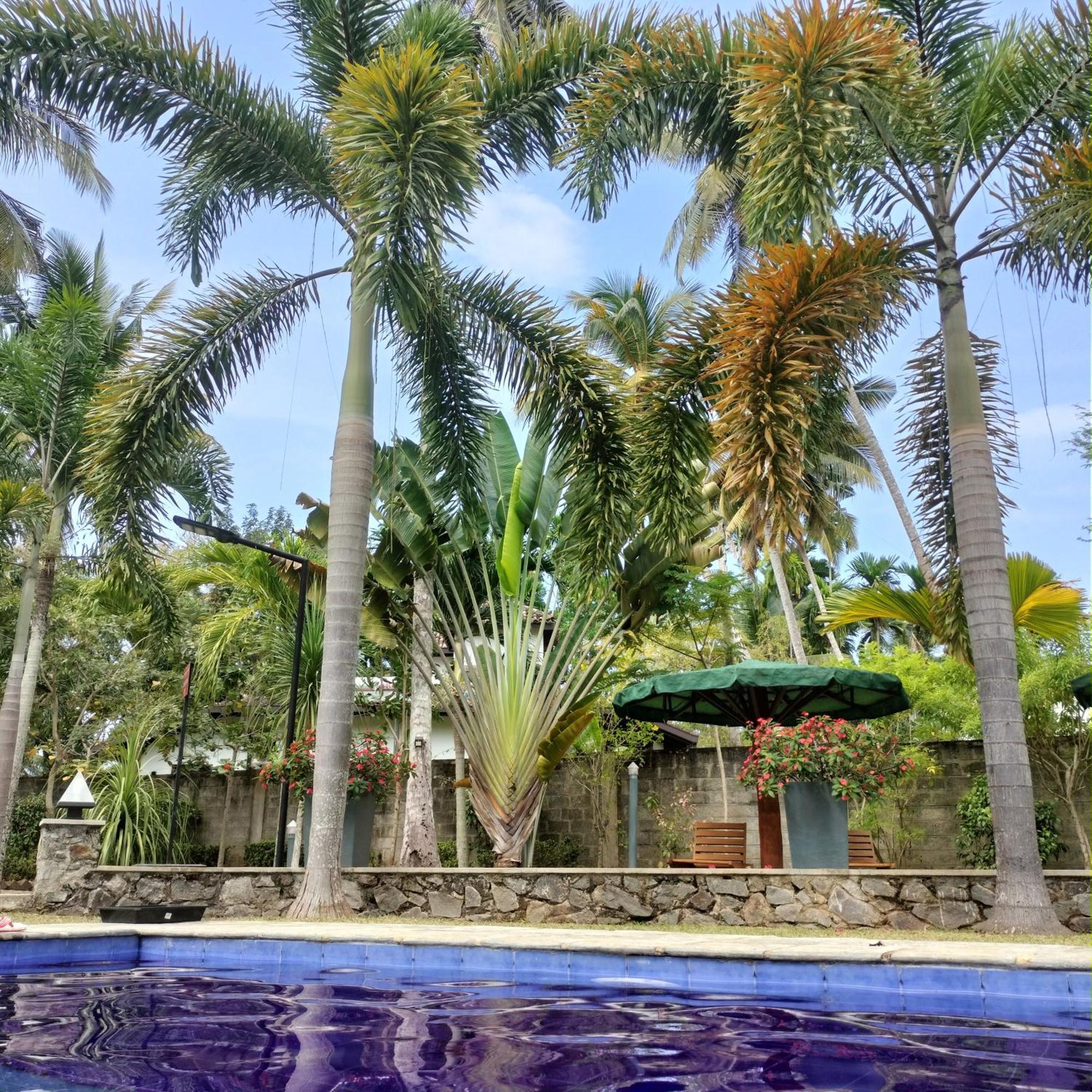 אינדורואה Avalon Village Resort מראה חיצוני תמונה
